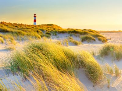 Sylt – the island of oysters and sand dunes