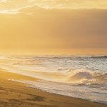 photo-1593854417296-e74e9f620e31