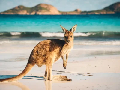 Top 10 Facts About Australia