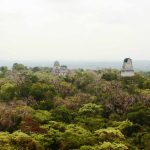 691WEB-e29b0c267dd0438989f4eb2420b3c37c