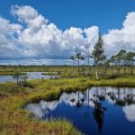 Park-Narodowy-Soomaa_Estonia4-edited