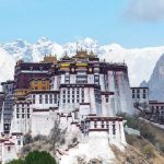 _130868178_gettyimages-1485127301