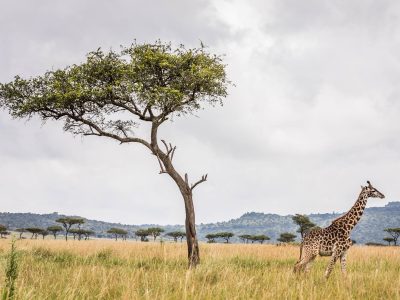 Kenya Attractions