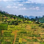 Regional-offices_Africa_banner