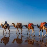 Summer-Holidays-to-Morocco