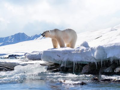 Svalbard – the northernmost reaches of Europe