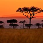 TAL-sunset-afrian-landscape-ALISTBJORN1125-ba67aaeeb47e4f62a7c724b7a090d5ea