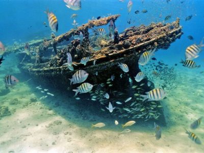 Carlisle Bay Beach – the Pearl of Barbados