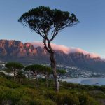 south-africa-cape-town-table-mountain-national-park
