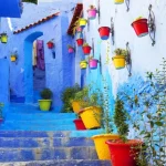 z87u2b5xav0xtx9xxqj6