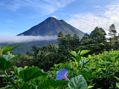 Arenal Volcano Travel Guide Hot Springs, Activities, Prices & Local Tips