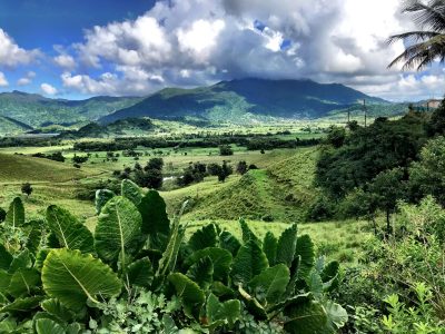 El Yunque National Forest Travel Guide: Things to Do, Hiking, Waterfalls & Local Tips