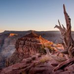 grand-canyon-west