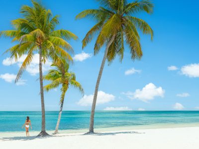 Grand Bahama Island Travel Guide: Beaches, Nature & Island Adventures