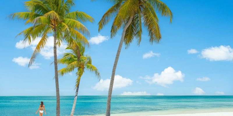 Grand Bahama Island Travel Guide: Beaches, Nature & Island Adventures