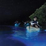 Vieques' Bioluminescent Bay - A Glowing Natural Wonder