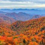 Great Smoky Mountains National Park - Misty Mountains and Appalachian Wildlife