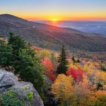 Great Smoky Mountains National Park - Misty Mountains and Appalachian Wildlife