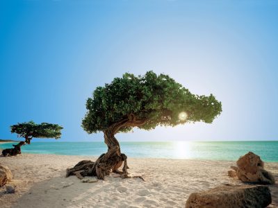 Best Caribbean Islands to Visit: The Ultimate Travel Guide