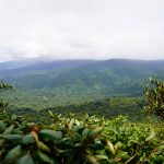 Monteverde - Costa Rica's Cloud Forests