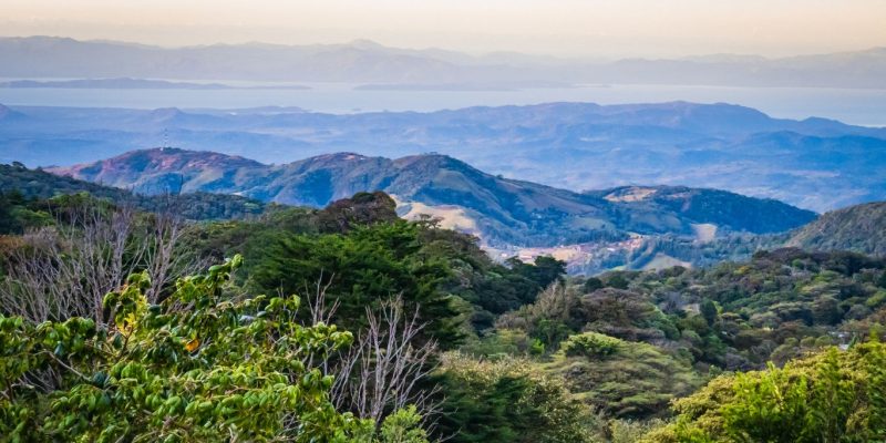 Monteverde Cloud Forest Travel Guide: Costa Rica’s Misty Jungle Paradise