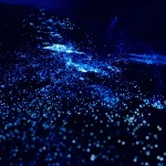 Vieques' Bioluminescent Bay - A Glowing Natural Wonder