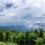 Great Smoky Mountains National Park - Misty Mountains and Appalachian Wildlife