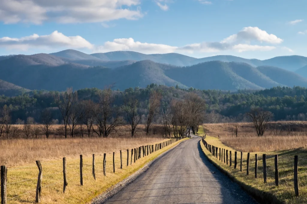 Great Smoky Mountains National Park - Misty Mountains and Appalachian Wildlife
