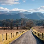 Great Smoky Mountains National Park - Misty Mountains and Appalachian Wildlife