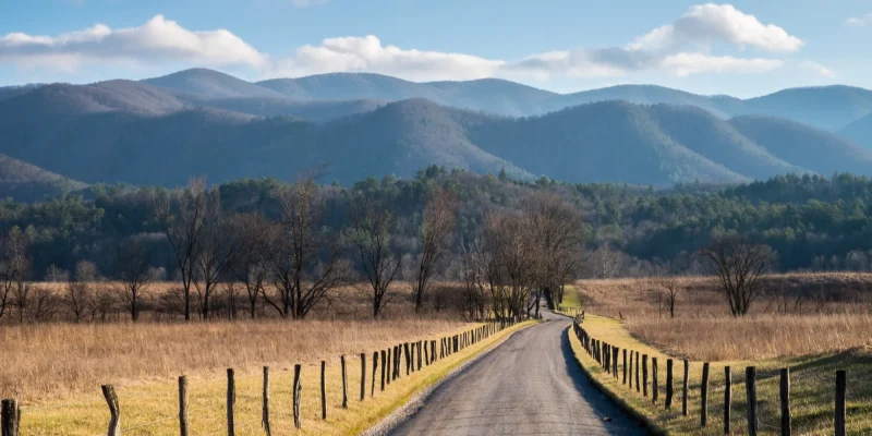 Great Smoky Mountains National Park - Misty Mountains and Appalachian Wildlife