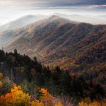 Great Smoky Mountains National Park - Misty Mountains and Appalachian Wildlife