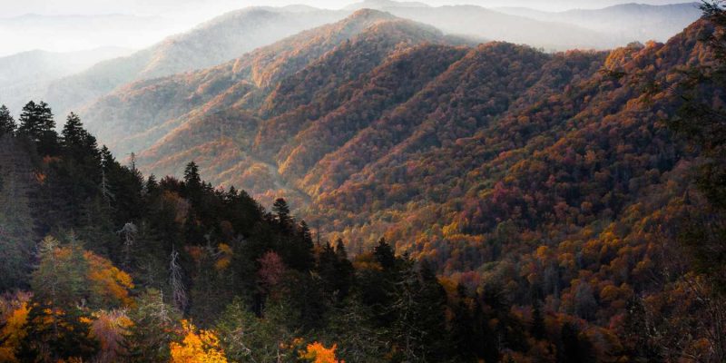 Great Smoky Mountains National Park: The Ultimate Travel Guide to America’s Most Visited National Park