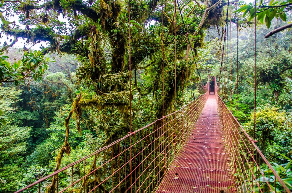 Monteverde - Costa Rica's Cloud Forests
