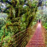 Monteverde - Costa Rica's Cloud Forests