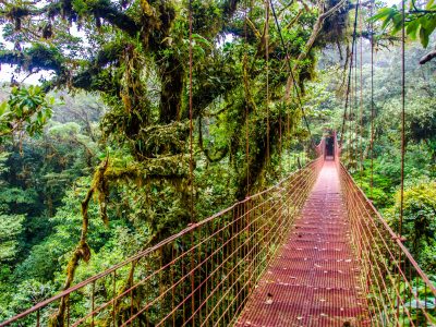 Monteverde – Costa Rica’s Cloud Forests