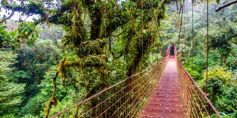 Monteverde - Costa Rica's Cloud Forests