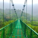 Monteverde - Costa Rica's Cloud Forests