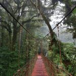 Monteverde - Costa Rica's Cloud Forests