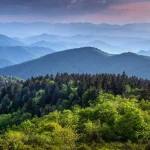 Great Smoky Mountains National Park - Misty Mountains and Appalachian Wildlife
