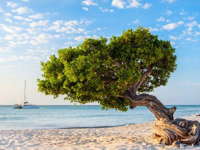 Aruba: The Ultimate Travel Guide to the Caribbean’s One Happy Island