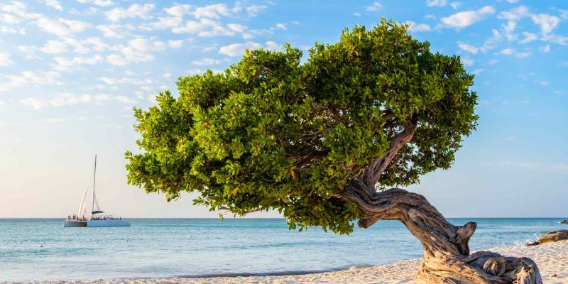 Aruba: The Ultimate Travel Guide to the Caribbean’s One Happy Island