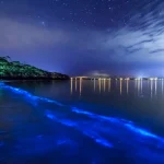 Vieques' Bioluminescent Bay - A Glowing Natural Wonder