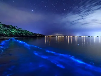 Vieques’ Bioluminescent Bay – A Glowing Natural Wonder