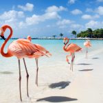 e333536b3cce1642ee7ff42a983cdba034c12feb-1600x1067