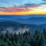 Great Smoky Mountains National Park - Misty Mountains and Appalachian Wildlife