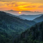 Great Smoky Mountains National Park - Misty Mountains and Appalachian Wildlife