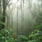 Monteverde - Costa Rica's Cloud Forests
