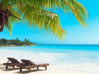 Saona Island Travel Guide: Beaches, Tours, Prices & Local Tips