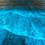 Vieques' Bioluminescent Bay - A Glowing Natural Wonder