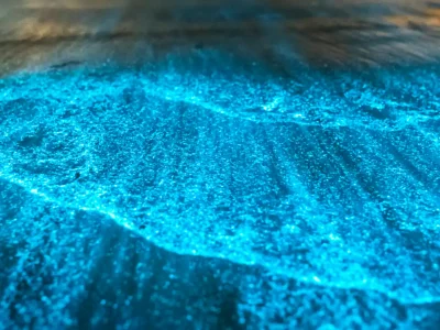 Vieques Bioluminescent Bay Travel Guide Puerto Rico’s Glowing Natural Wonder